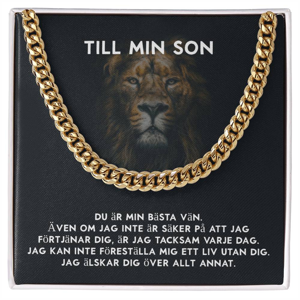 julklappstips son 20 år