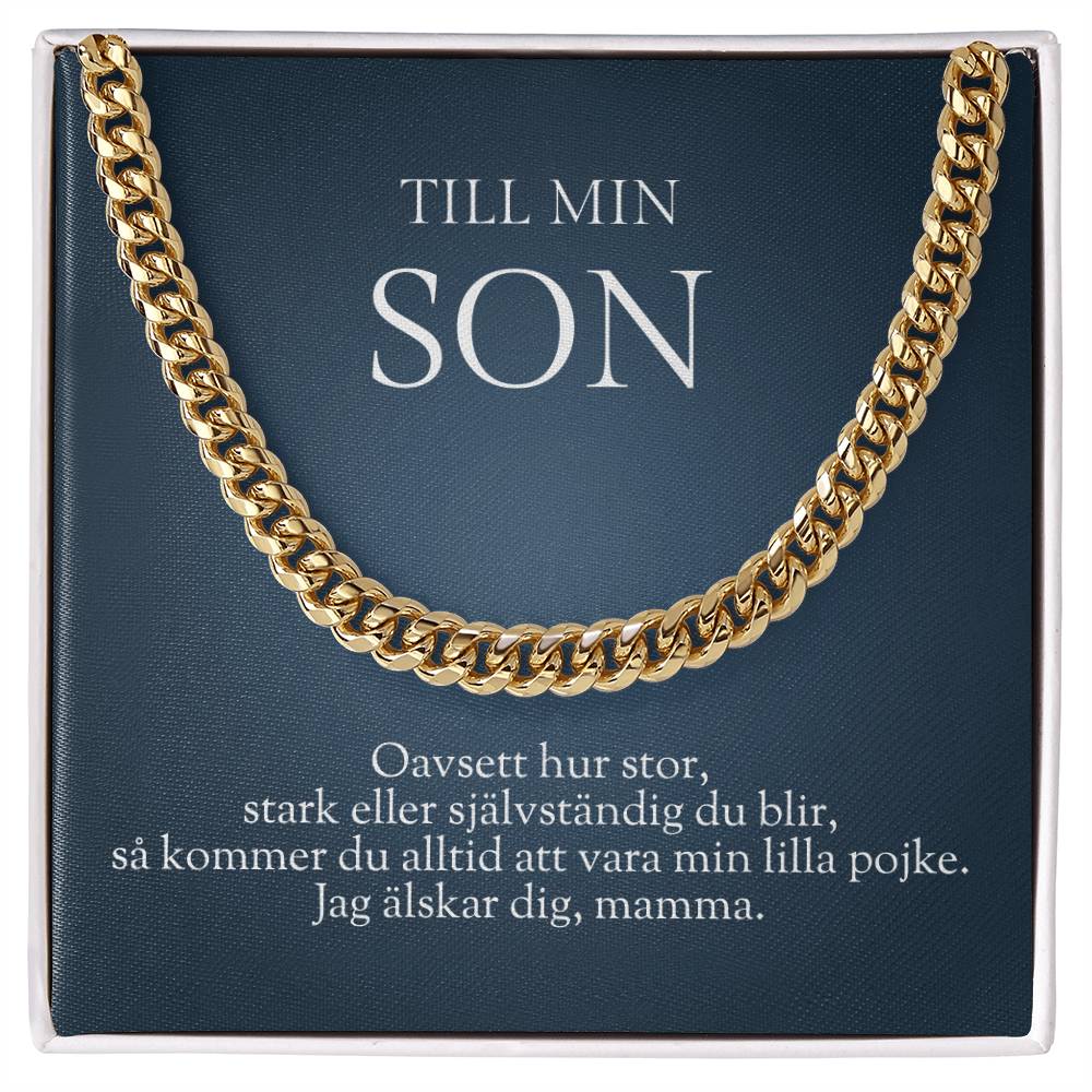 julklappstips son 20 år