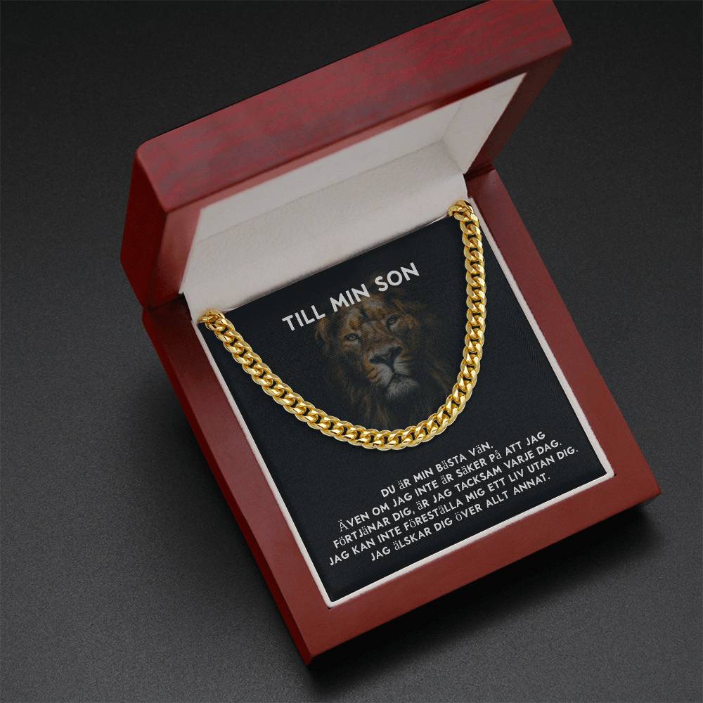 18 års present till son