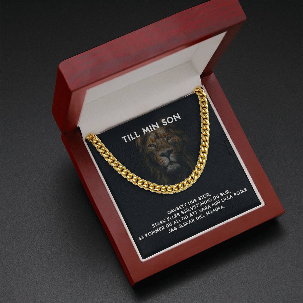 18 års present till son