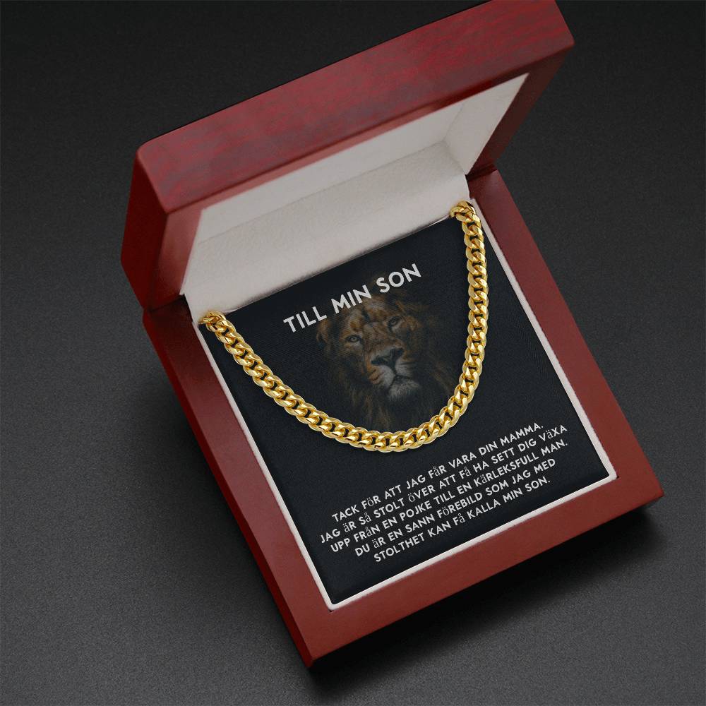 18 års present till son