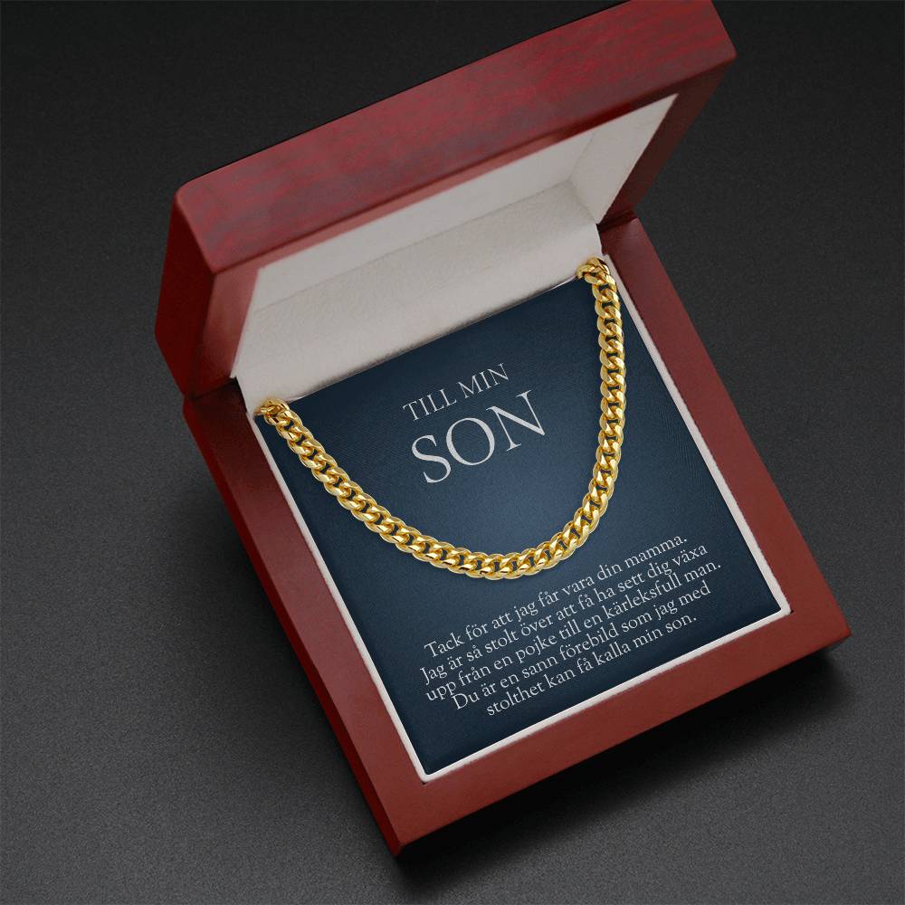 18 års present till son